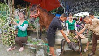 Build a Large Bamboo Cage And Bring The Pigs To The Market To Sell. Farm Life | Ly Tieu Toan