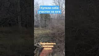 Купили себе участок на юге
