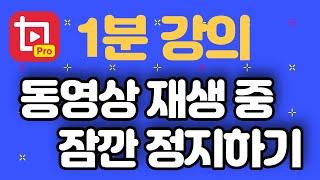 동영상 재생 중 잠깐 정지하기