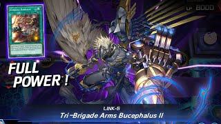 TRI-BRIGADE IS BACK! And It's Better Than EVER ! Zoodiac Tri-Brigade Deck [Yu-Gi-Oh! Master Duel]