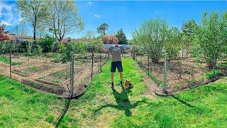 Permaculture Backyard Garden, Beyond Organic Gardening