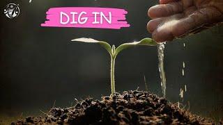 Dig In - Pastor Massiel Davila-Ferrer