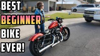 Here's Why The Harley Sportster 883 Is THE BEST Beginner Bike (For Me...)