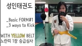 [성인태권도] 태극 1장 심사 TEAKWONDO FORM 1 TEST