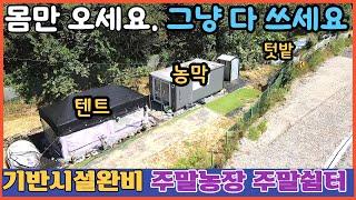 [5백만원 금액내림]몸만 오세요 ㅣ텐트 , 농막 있는 주말농장 쉼터용지 ㅣ2차선도로변ㅣ 토지150평/도로부지 추가사용ㅣ주말쉼터부지ㅣ힐링터 4300만원 (충북단양토지) 전원일기tv