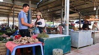 The Process of Harvesting Ginger and Mac Khen, and Bringing Them to Market for Sale | Farmer family