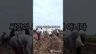 봄이 오고있는 너에게 --생각에 도움이되는 글