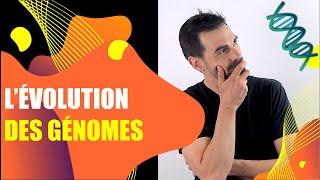 COURS DE TERMINALE SPÉCIALITÉ SVT : CHAP.4: L'ÉVOLUTION DES GÉNOMES -Bio Logique-