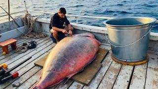 Giant Halibut Caught by European Fishermen – You Won’t Believe the Size!