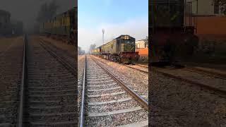 Train vs Sharp Pins #railtrack #railaddictrik #railwayline #railwaytrack #pins #railwayroute