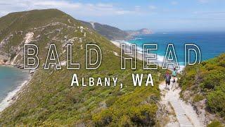 The Best Day Hike in Albany | BALD HEAD TRACK |  Torndirrup National Park