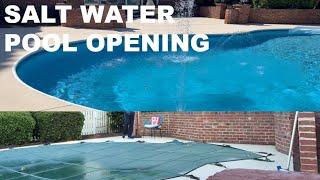 Salt Water Pool Opening: Step-By-Step