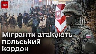  Жбурляють каміння та виламують паркан! Мігранти атакували польський кордон з боку Білорусі