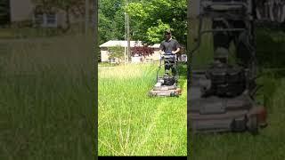 30-in Toro Time Master cutting 2 ft tall grass