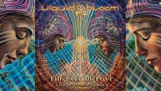 Liquid Bloom - The Face of Love: A Guided Spirit Journey [Full Album]