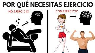 10 beneficios del ejercicio para el cerebro y el cuerpo por qué necesita ejercicio