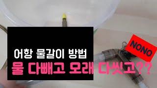 어항 물갈이 방법, 어항 환수 방법, 물 다빼고 다씻고 다시넣는거 아니에요~ (How to do water change) 탱써니 물생활 TaengSunny