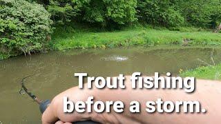 Trout fishing before the rain