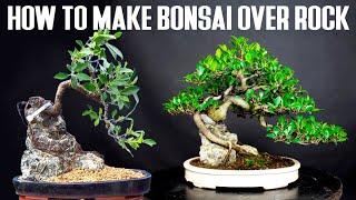 How to Make Bonsai Over Rock