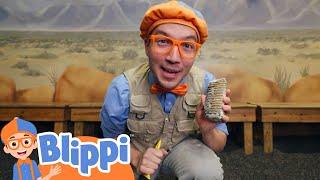 World of Dinosaurs at Orlando Science Center | Animal Adventure For Kids | Blippi Learning