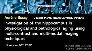 Investigation of the hippocampus in physiological and pathological aging, Aurélie Bussy