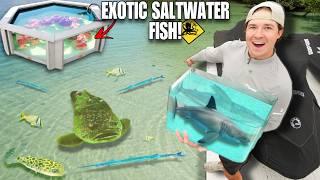 Catching WILD Fish & Sea Creatures For My Mini SALTWATER Aquarium!