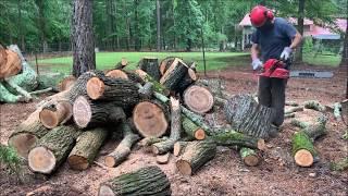 Big Surprise "Free Firewood"  (5)