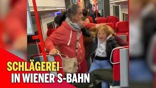 Wüste Massen-Schlägerei in Wiener S-Bahn