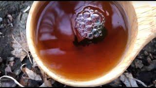 Wild Forage: Last Cup of Stinging Nettle Tea for the Season