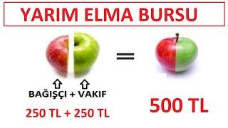 ÖĞRENCİYE 500 TL KARŞILIKSIZ BURS - YARIM ELMA BURSU BAŞVURU NASIL YAPILIR? (BURS DUYURULARI)