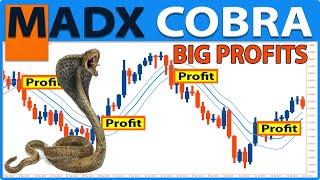 The Only MA & ADX Indicator Trading Strategy You Will Ever Need (FULL TUTORIAL) - MADX Cobra System