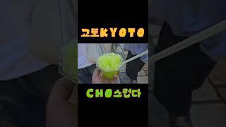 교토 한인민박집을 가야하는 이유#일본 #japan #osaka