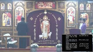 St Luke ACOC Live Stream