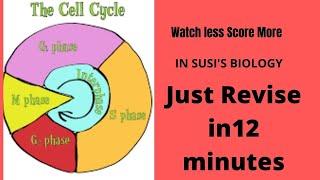 CELL CYCLE AND CELL DIVISION|Watch less!Score more!|only important points to remember