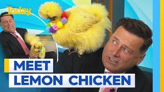 Meet 'Australia's happiest pet', Lemon Chicken | Today Show Australia