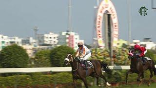 HAPPY GO LUCKY | The Donegal Plate