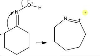 Beckmann Rearrangement