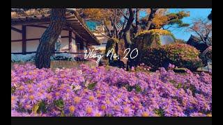 Vlog No. 20 | Autumn in Korea 2022 - Exploring Seoul, Nami Island, Garden of the Morning Calm