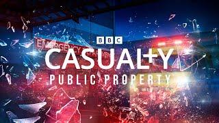 Public Property | Trailer | Casualty