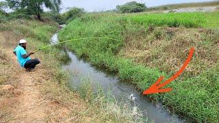 FISHING "SNAKEHEAD FISHING IN VILLAGE AMAZING HOOK FISHING TECHNIQUE SNAKEHEAD FISH AND TILAPIA "