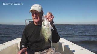 Crappie action is hot on the lake