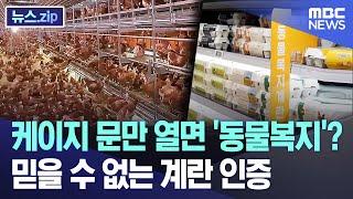 케이지 문만 열면 '동물복지'? 믿을 수 없는 계란 인증 [뉴스.zip/MBC뉴스]