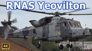 RNAS Yeovilton | Wildcat Helicopters | 4K