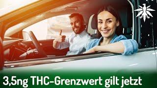 3,5ng THC-Grenzwert gilt jetzt | DHV News # 433