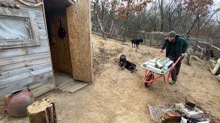 The life of a young man, living alone and happy in the mountains with his animals.