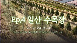 Ep.4 일산 수목장ㅣ가격문의_ 박혜수 실장 (010-8807-8011)