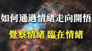 情緒修煉究竟如何開始？我們又該怎樣通過情緒走向開悟覺醒？覺察情緒，臨在情緒。#能量#業力 #宇宙 #精神 #提升 #靈魂 #財富 #認知覺醒 #修行