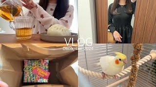 〈vlog〉社会人の冬の日常️/家族が増えました/インコちゃんお迎え/ティーポット/朝ごはん