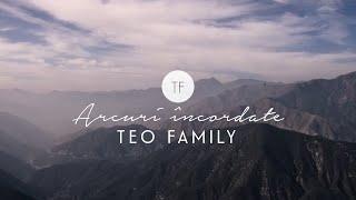 Arcuri Incordate - Teo Family [Official Lyric Video]