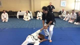 16 Hapkido Throws in 40 seconds